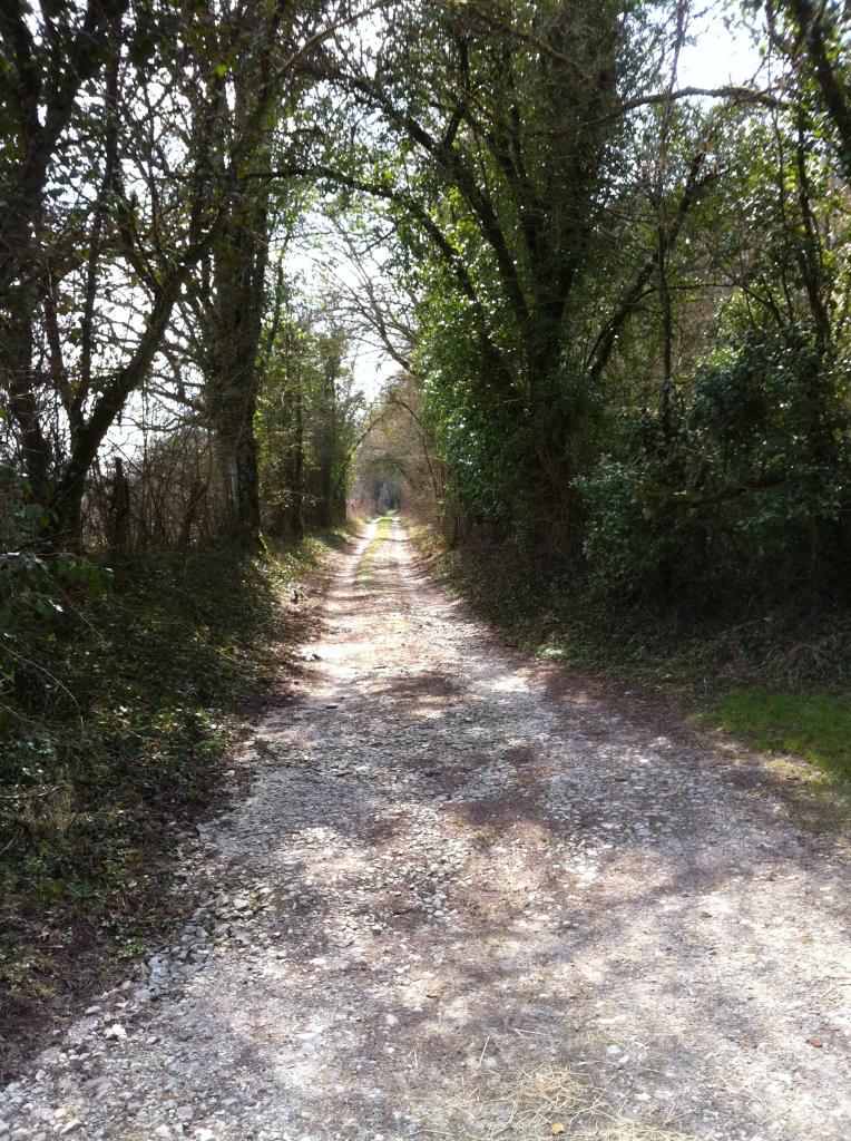 Le GR 14 en forêt d'Argonne